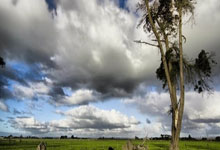 U19男位列熊猫杯第三 主帅称并未亮出全部底牌.