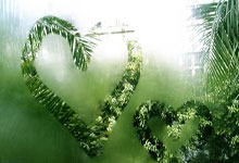 问鼎娱乐官网：新闻分析：中足联的新意与挑战.